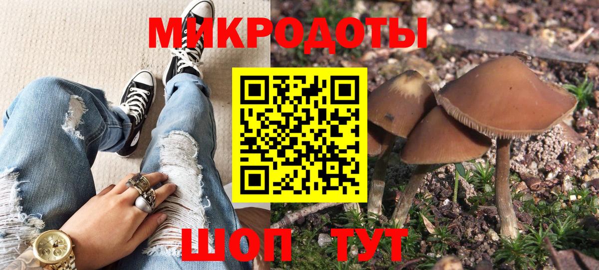 Лянтор  Псилоцибиновые грибы MAGIC MUSHROOMS  Вход с VPN 