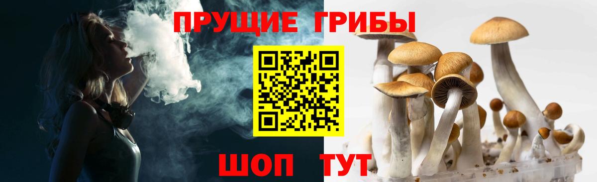 Псилоцибиновые грибы Cubensis Лянтор
